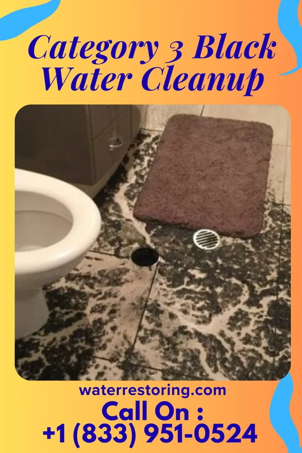 Category 3 Black Water Cleanup in Tularosa, NM