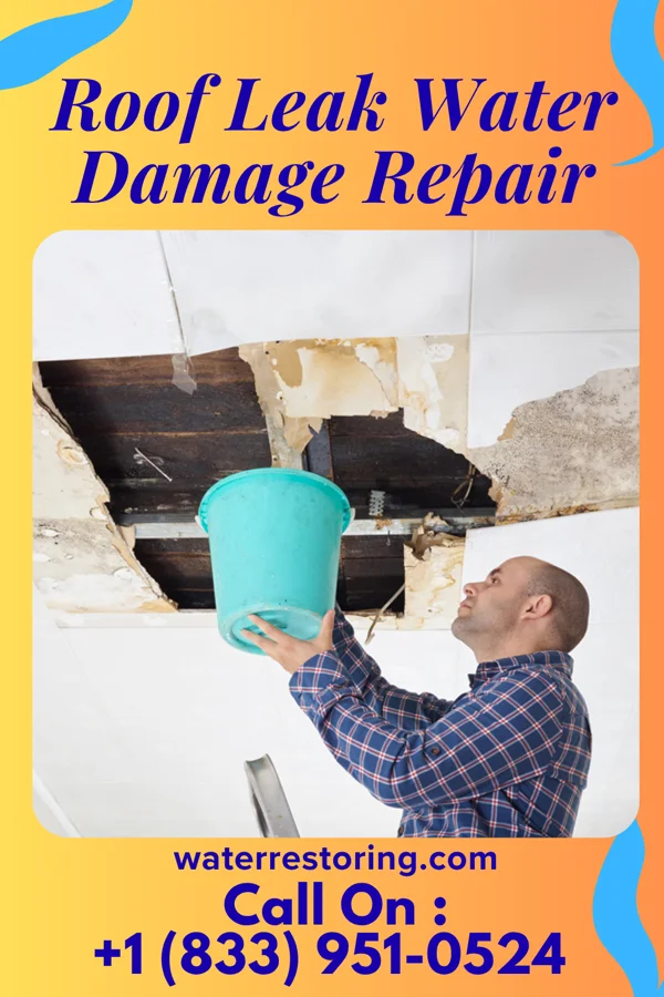 Roof Leak Water Damage Repair in Tularosa, NM