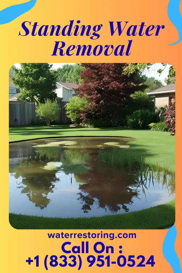 Standing Water Removal in Tularosa, NM